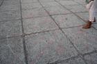 Mia Sesarti 19.10.2021 (40)