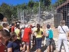 Bozicno Selo (12)