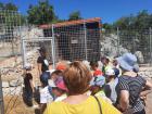 Bozicno Selo (17)