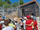 Bozicno Selo (26)