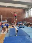 Gimnasticarke (8)