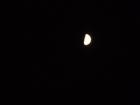 DSC01017