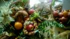 IMG-20161025-WA0000