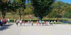 IMG-20181002-WA0009_800x404