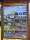 IMG-20200418-WA0004