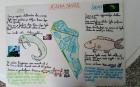 IMG-20200418-WA0031~2