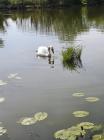 IMG-20200418-WA0033