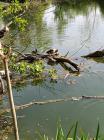 IMG-20200418-WA0037