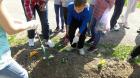 IMG-2b7938310403e649027d25ef0b811c00-V