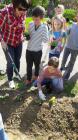 IMG-4758808dd60780c31b1a837216f933d9-V