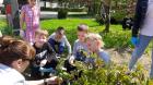 IMG-9b0618acdc48244fe4cf4ebac2322d0b-V