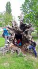 Media-Share-0-02-05-4510e7625cd3dbe9fab9dba93896a2a986a1974bcd293d5b1c1b4b66221c2a00-Picture
