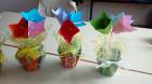 IMG-20170519-WA0004