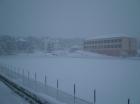 Picture 010