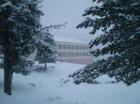 Picture 011