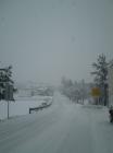 Picture 016