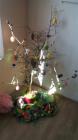 IMG-20170428-WA0011