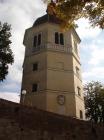 DSC07029