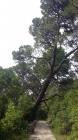20160601_093238