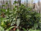 Image00017