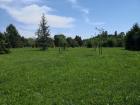 Image00079