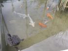 Image00093