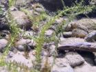 Image00126