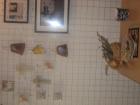 Picture 017