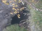 Picture 034
