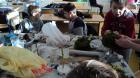 M_DSC05972