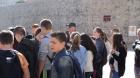 M_DSC06477