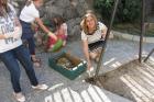 M_dan kole 5.6.2014 009