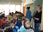 M_DSC09086