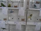 M_DSC09140