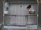 M_DSC09142