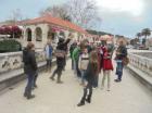 Zidine 011 (1)