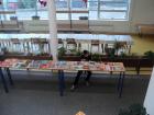 M_DSC09761