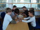 M_DSC00782