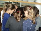M_DSC00786