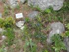 M_DSC01108