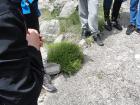 M_DSC01110