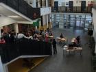 M_DSC01883