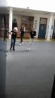 M_IMG-3b653a21c1fd015e667682c77550c110-V
