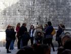 IMG-D071eca497e5d6e4d378b4a05d6ea262-V