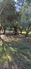 M_viber_slika_2022-10-20_19-37-31-053