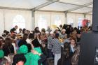 Maskare_2011 042 (Kopiraj)