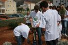 Picture 010