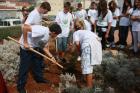 Picture 022