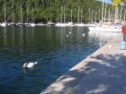 Skradin2