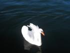 Skradin5
